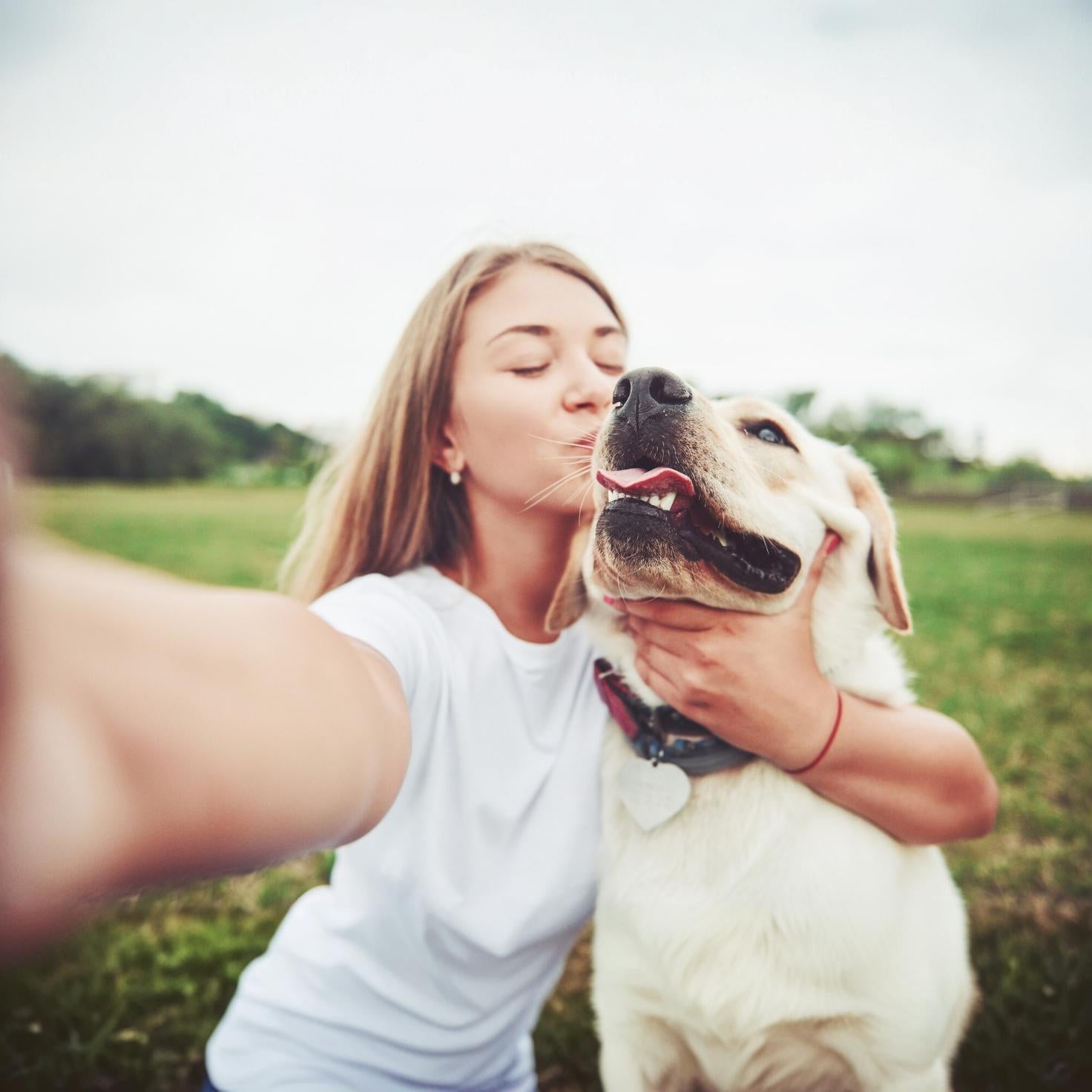 Die Evolution der Hunde: Die Wissenschaft enthüllt ihre Transformation zu noch besseren Begleitern