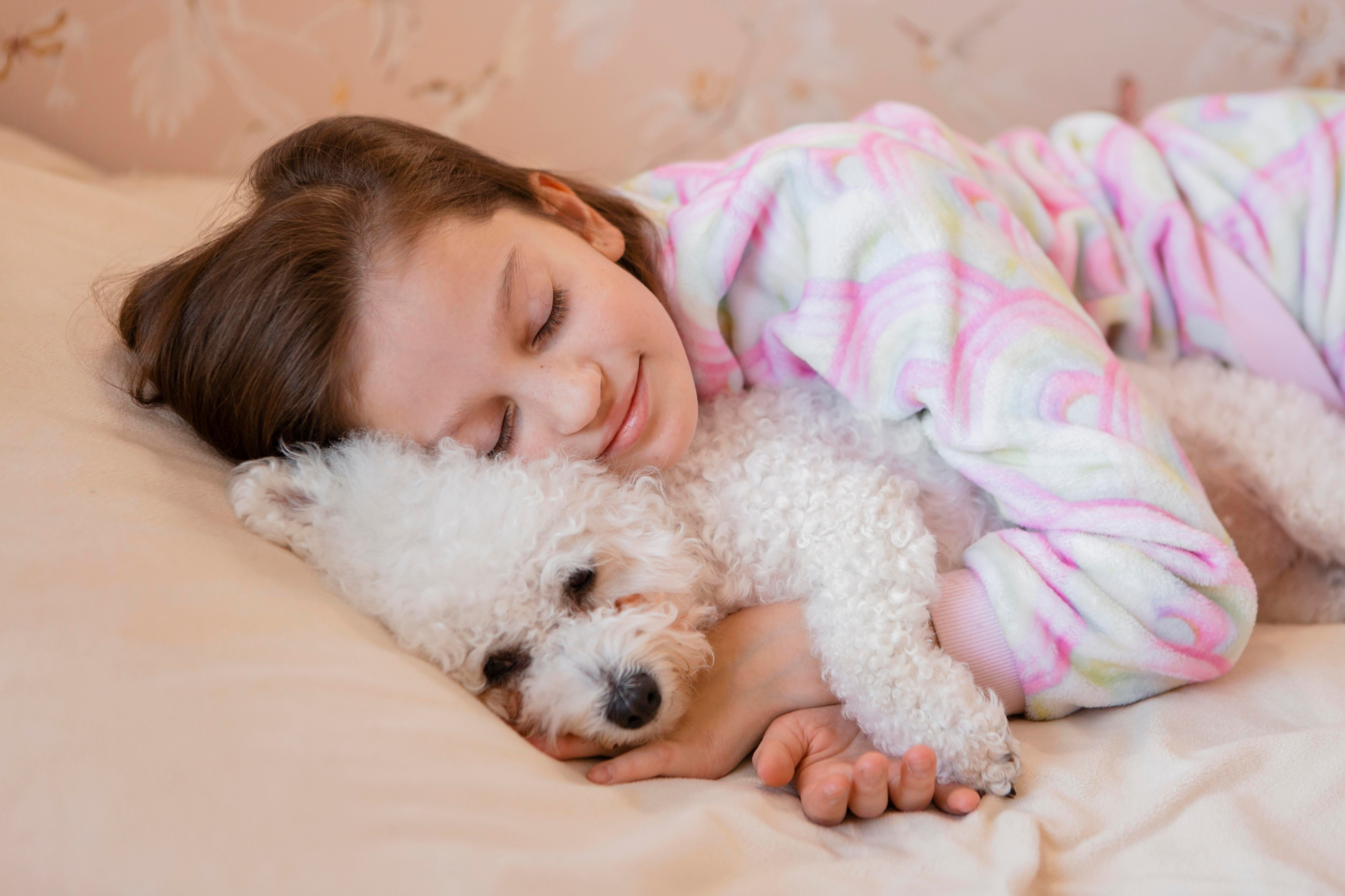 Pourquoi les chiens veulent-ils dormir au lit avec leur famille ?