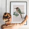 Hummingbird minimalist poster