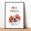 I love my Penkingese, poster for pet lovers - Kawaink