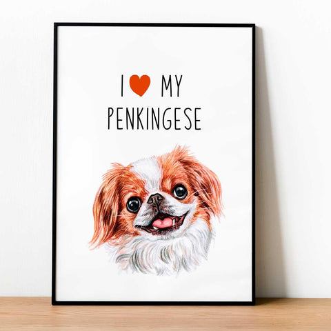 I love my Penkingese, poster for pet lovers - Kawaink