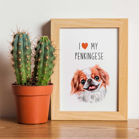 I love my Penkingese, poster for pet lovers - Kawaink