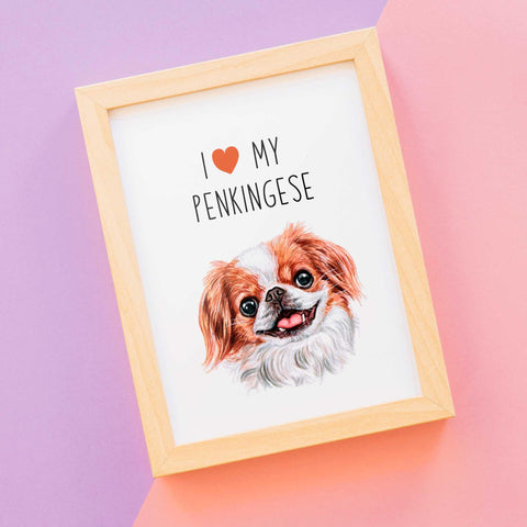 I love my Penkingese, poster for pet lovers - Kawaink